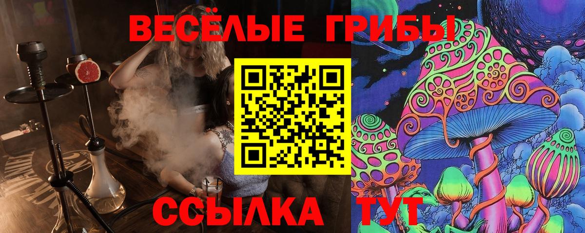 Галлюциногенные грибы Psilocybe Кыштым
